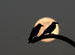  Your Eternal Moon Of Love