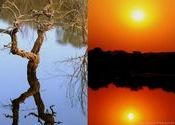 Reflections by tobindavid.  Tags: Rajasthan, Ranthambore.