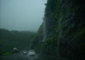 Mist 2 by mwzd.  Tags: Maharashtra, Lonavala, mist.