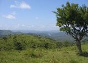 Scenery near Periyar Wildlife Reserve by dani.  Tags: Thekkady, Kumily, Kerala, Wildlife, Landscapes.