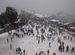 white shimla