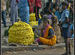 Evening Flower Market, Mysore