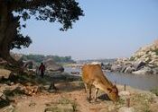 Hampi morning by Khandoma.  Tags: Hampi, Karnataka, Landscapes, morning.