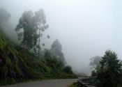 gap point munnar by nomad.  Tags: Munnar, Kerala, Landscapes.