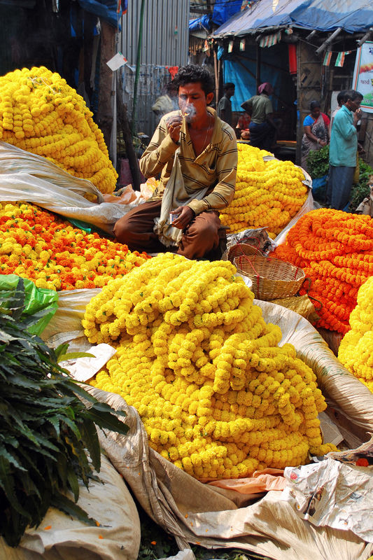 Flower seller., Kolkata. India Travel Forum
