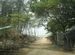 Roadway to Udaypur beach in new Digha