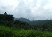 wayanad by arunfox.  Tags: Wayanad, Kerala.