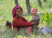 Kinnaur