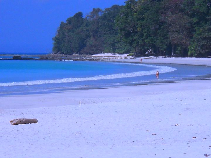 radhanagar beach India Travel Forum