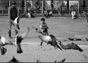 :)Jama Masjid by roehit.  Tags: New Delhi, Delhi.