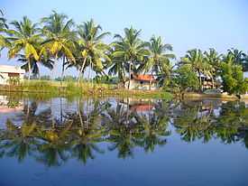 Beautiful backwaters of Kerala.