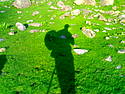 Mcleodganj - 2008