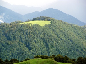 Roopkund Trek - A mini bugyal seen from Ali Bugyal