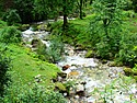 Roopkund Trek - A stream near Wan