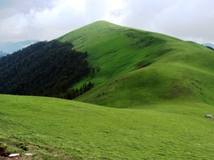 Roopkund Trek - Ali Bugyal-3