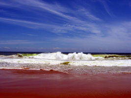 shanghamukham beach