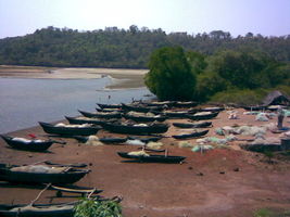 Fishing Boats