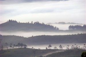 Surreal early morning view @ Chinnakanal nr Munnar, Kerala