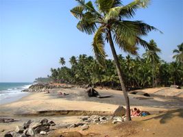 Varkala beach