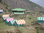 recommended-camps-dhanolti-camp.jpg