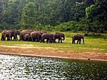 very-long-trip-report-part-6-periyar-tiger-trail-thekkady-087.jpg