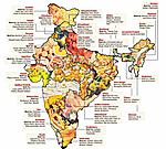 cotton-pants-indiafood.jpg