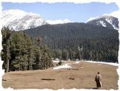 kashmir-4-tourists-killed-28-injured-in-hotel-grenade-attack-paradise-lost.jpg