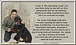 street-dogs-birds.jpg