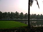 bhadrachalam-to-rajahmundry-by-river-steamer-k1.jpg
