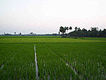 bhadrachalam-to-rajahmundry-by-river-steamer-k2.jpg