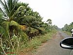 bhadrachalam-to-rajahmundry-by-river-steamer-k3.jpg