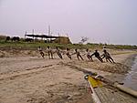 bhadrachalam-to-rajahmundry-by-river-steamer-k8.jpg