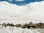 a-travelogue-through-himachal-pradesh-kinnaur-spiti-shimla-and-manali-may-2009-img_6791.jpg
