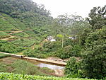 Please provide feedback on South India itinerary-kerala-hills-021.jpg
