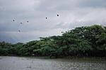 a-lake-with-a-view-sultanpur-bird-sanctuary-haryana-dsc_0278.jpg