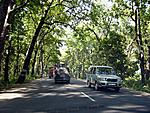 guru-grace-or-luck-who-can-say-roorkee-road-small.jpg