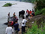 Best place to see baby elephants - kodanad??-kerala-06-235.jpg