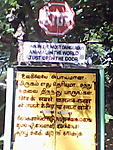 worlds-most-dangerous-animal-dsc_0000031.jpg