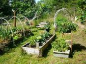dish-of-the-day-garden48k.jpg