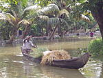 how-long-for-a-houseboat-cruise-paul-sth-india-001-189-.jpg.jpg
Views:	6
Size:	100.1 KB
ID:	11539