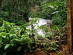 JJ Cottage - Munnar-kerala-2-016.jpg