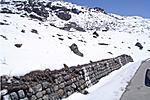 my-trip-to-pelling-yumthang-tsongo-katao-dsc05105.jpg