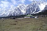 my-trip-to-pelling-yumthang-tsongo-katao-dsc05176.jpg