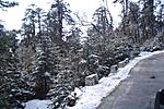 my-trip-to-pelling-yumthang-tsongo-katao-dsc05163.jpg