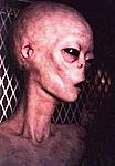 is-it-ufo-alien_pic.jpg