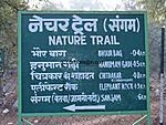 What about Orcha?-nature-trail.jpg