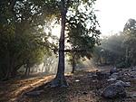 What about Orcha?-sunrise-at-orchha-jungle.jpg