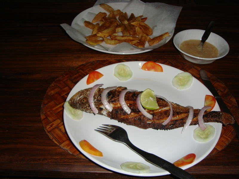 DSC00307.jpg