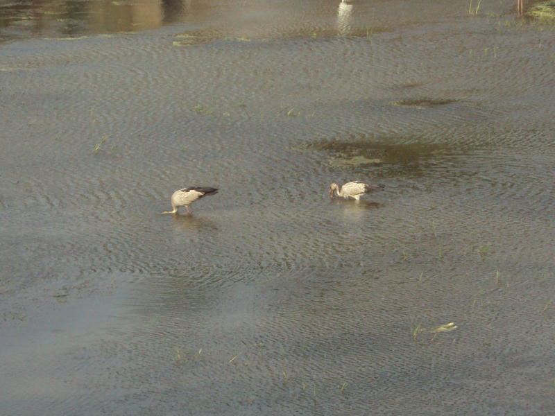 DSC00848.jpg