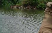 bharatpur-bird-park-faces-water-crunch-55.jpg